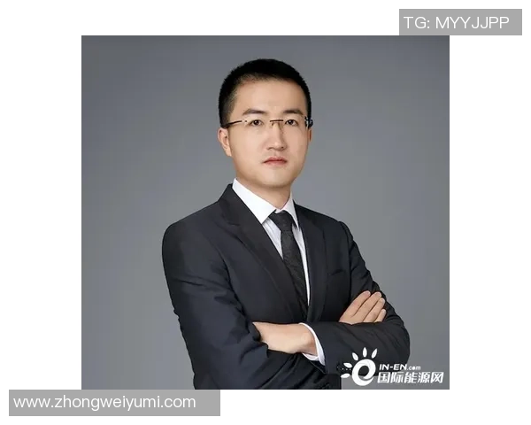 亚马尔地区的能源战略与全球市场动态的深度解析与展望