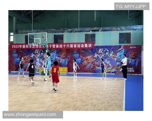 成都排球队比赛经验分析与提升策略探讨