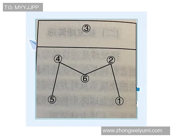 西安排球队阵地战解析：战术布局与球员配合的深度剖析