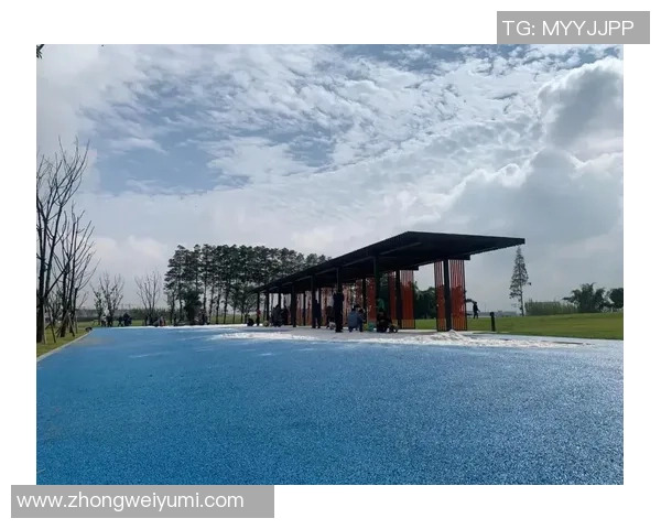 成都极限运动队的阵地战与城市运动文化的崛起探讨MBA 成都极限运动队的阵地战与城市运动文化的崛起探讨MBA